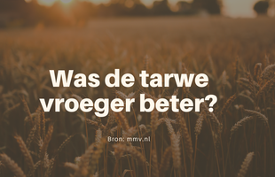 Was de tarwe vroeger beter - bakgezond.nl