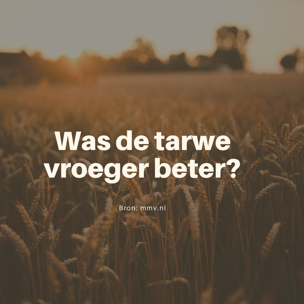Was de tarwe vroeger beter - bakgezond.nl