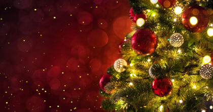 Kerstpakketten bakgezond.nl